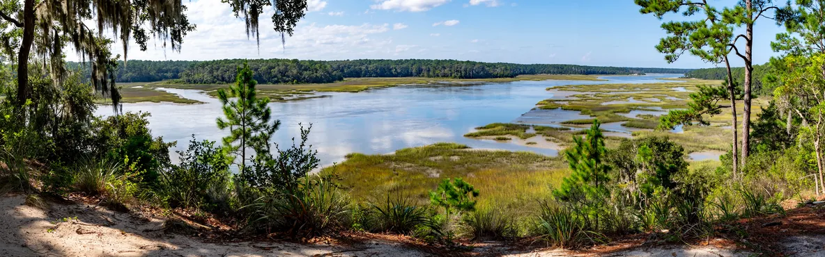 Unforgettable Adventures: Top Attractions and Activities in Jacksonville, NC